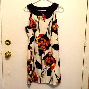 Peter Pan Collared Mid Length Shift Dress